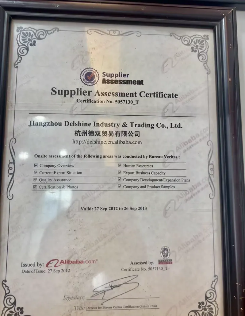 CE Quality Mark certification